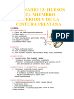 Seminario 12