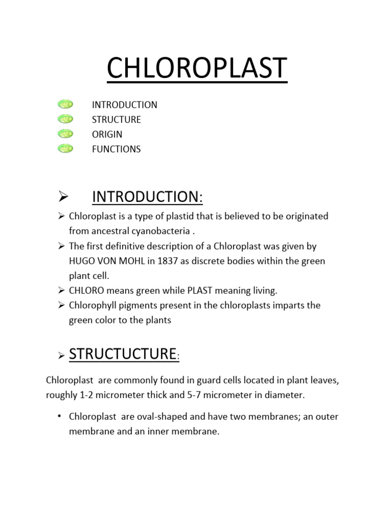 CHLOROPLAST and It's Effect | PDF | Chloroplast | Photosynthesis