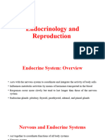 Lec # 5 Endocrinology and Reproduction