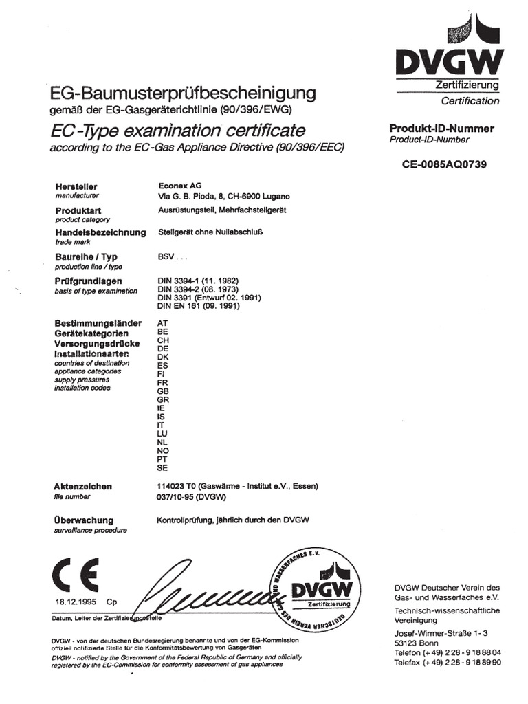 BSV | PDF