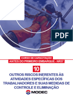 MÓDULO 10 - Outros Riscos Inerentes Às Atividades Específicas Dos Trabalhadores e Suas Medidas