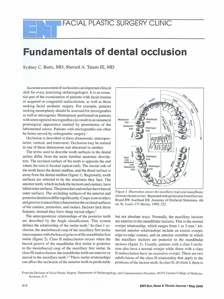 Fundamentals of Dental Occlusion PDF