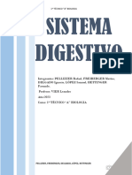 SISTEMA DIGESTIVO - Word