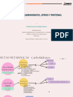 BQAFYD - Gutiérrez Adolfo Antonio de Jesús - Resumen Vias Metabolicas