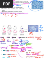 LRR Microbiology Part