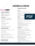 CV Modelo Ejemplo