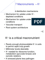 Lecture 17 Macronutrients - K