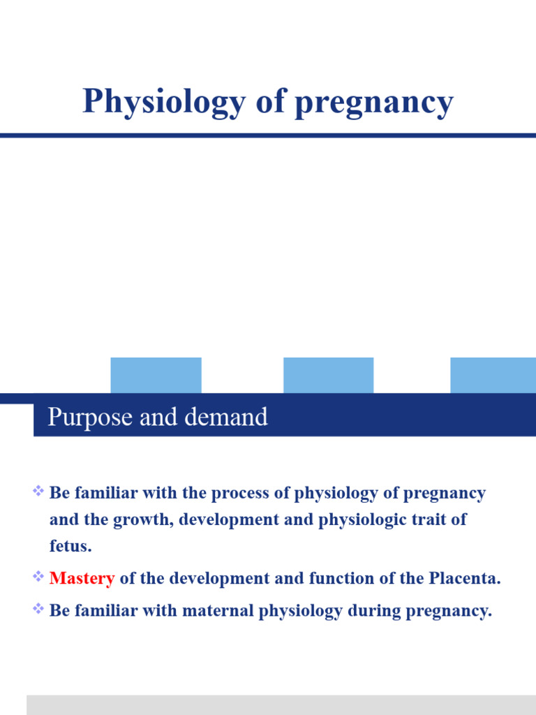 Anatomy visual data 4