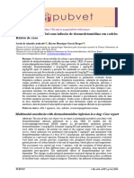 Anestesia Multimodal Com Infusão de Dexmedetomidina em Cadela: Relato de Caso