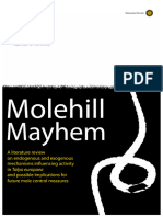 Molehill Mayhem