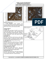 Analisis Petrografi Lempung Karbonatan