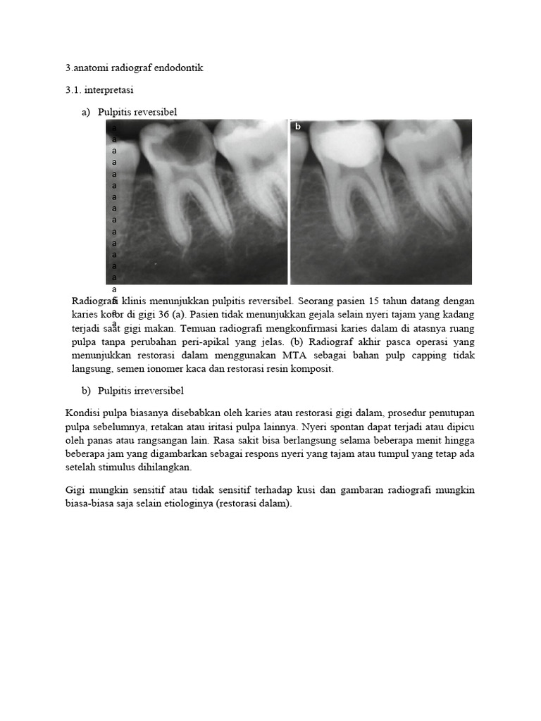 Anatomi Radiografi PDF