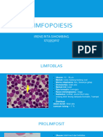 LIMFOPOIESIS