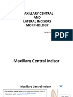Class 1 Lec 4 Maxillary Central and Labial Tooth Morphology