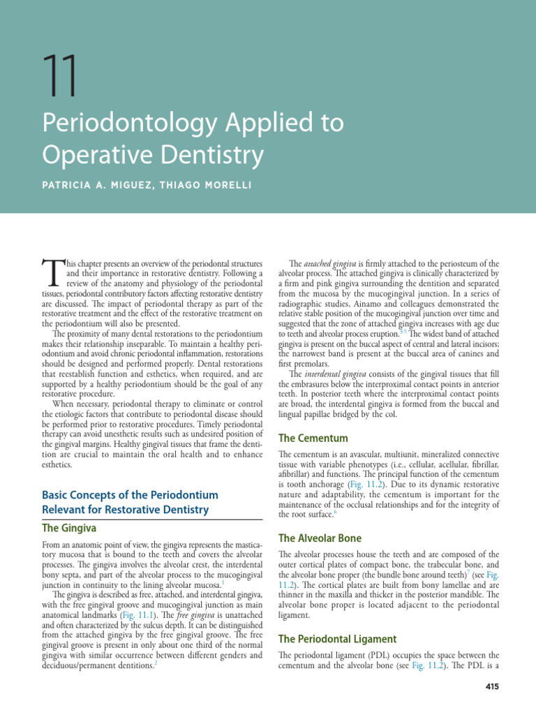 Periodontal Considerations in Restorative Dentistry | PDF