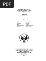 Download Laporan Mingguan Resin Penukar Ion by anon_275454404 SN69454019 doc pdf