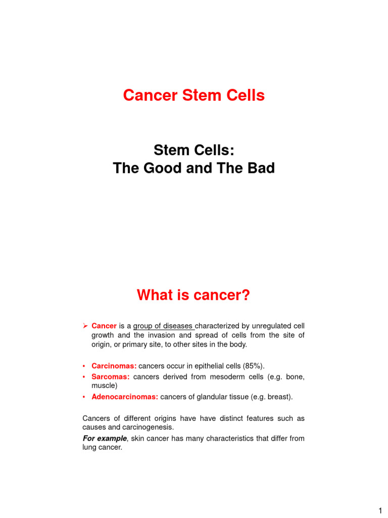 Understanding Cancer Stem Cells | PDF | Cancer | Metastasis