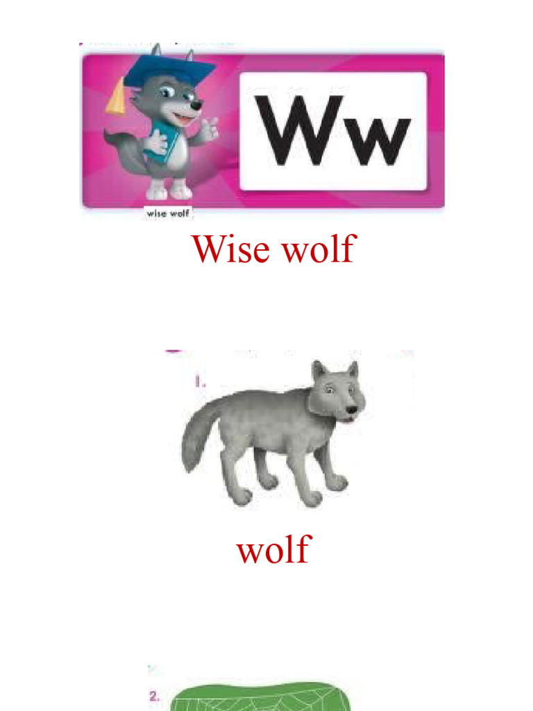 Wise Wolf | PDF