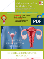 S.reproductor Femenino
