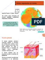 SD Ciencias 8ano Capitulo02