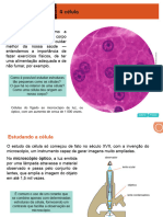 SD Ciencias 8ano Capitulo01