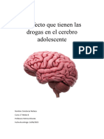 Efectos de Las Drogas en El Cerebro Adolescente