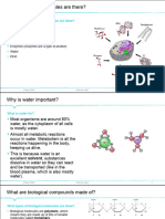 Biological Molecules TE