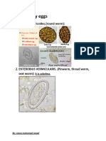 Parasitology Eggs