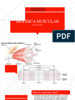 Biofísica Muscular