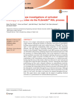 Electron Microscope Investigations of Activated CH