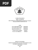 Download MINYAK KENANGA by Ari Satria SN69459233 doc pdf