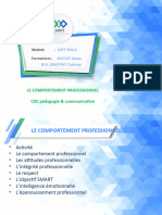 Comportement Professionnel Version Finalisée