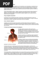 Fisiologia Do Sistema Digestivo
