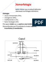 Dismorfologia