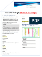 FT - Semana 8 - Imperio Carolingio - 05.07