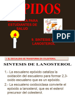 Lipidos - Quimica I - 9. Sintesis de Lanosterol