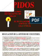 Lipidos - Quimica I - 10. Regulacion de La Sintesis de Colesterol