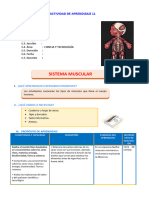 D3 A1 Sesion Ct. Sistema Muscular