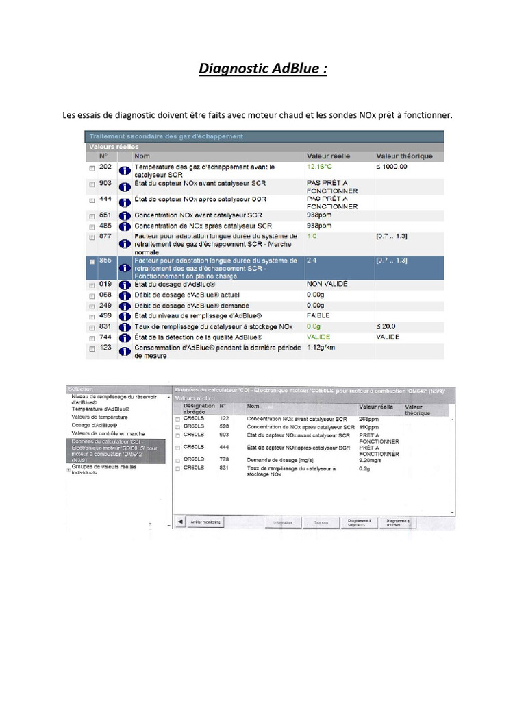 Diagnostic AdBlue : Contrôles et Procédures | PDF