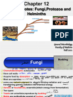 Eukaryotes Fungi+parasites +helminth