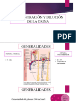 Concentracion y Dilucion de Orina