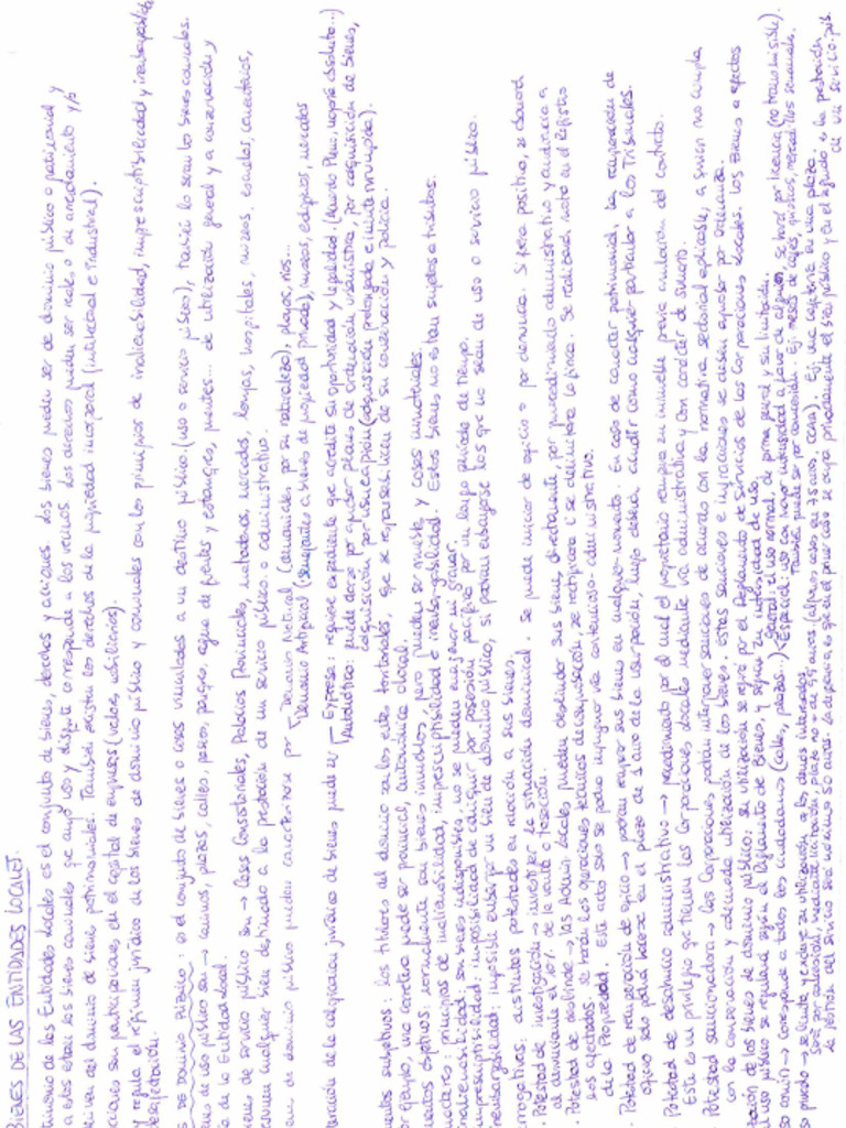 TEMA 12E Los Bienes de Las Entidades Locales Clasificacion (Resum