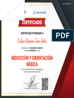 Curso INDUCCIÓN Y ORIENTACIÓN BÁSICA - doc 40482478 - CUBAS RAMON JOSE JOHN