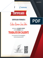 Curso TRABAJOS EN CALIENTE - Doc 40482478 - CUBAS RAMON JOSE JOHN