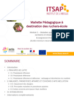 Mallette Pedagogique Module 5 Sanitaire Theorique 23-10-2017