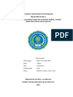 Aditiya-Laprak Fitokimia Ke-2 PDF