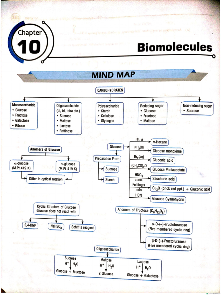 Biomolecules | PDF