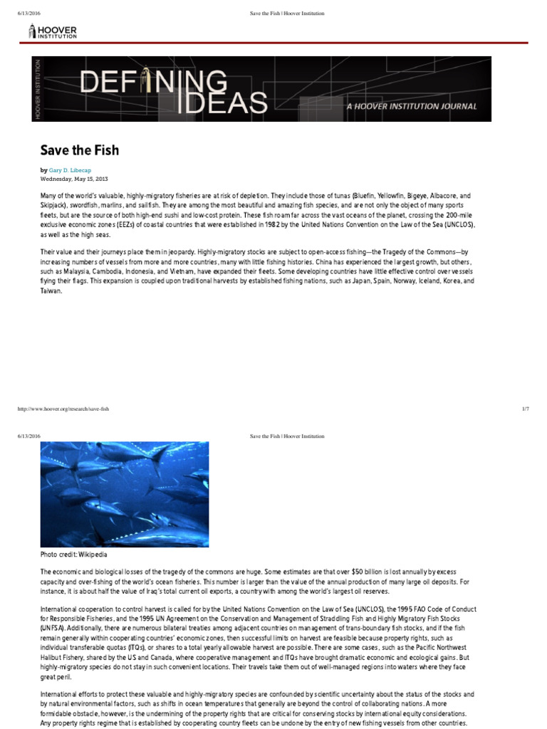 41, Save The Fish Hoover Institution PDF Marine Biology Fishing