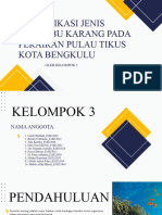 Terumbu Karang Pulau Tikus Kelompok 3