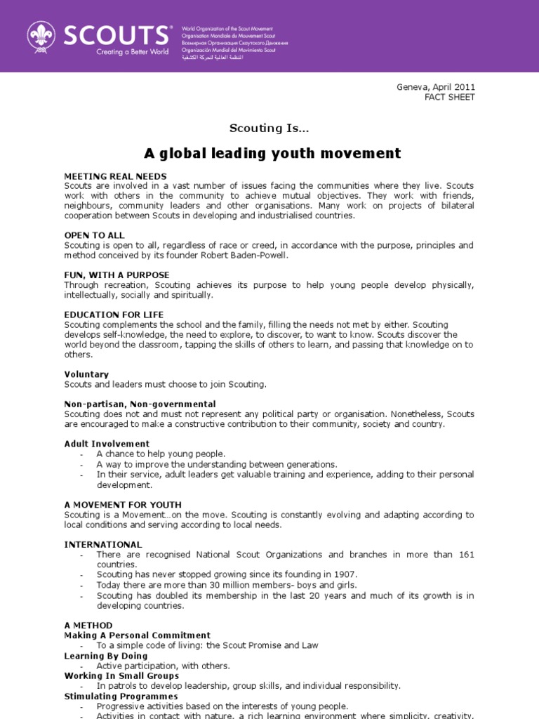 Overview of Global Scouting Impact | PDF | Scouting | Further Education